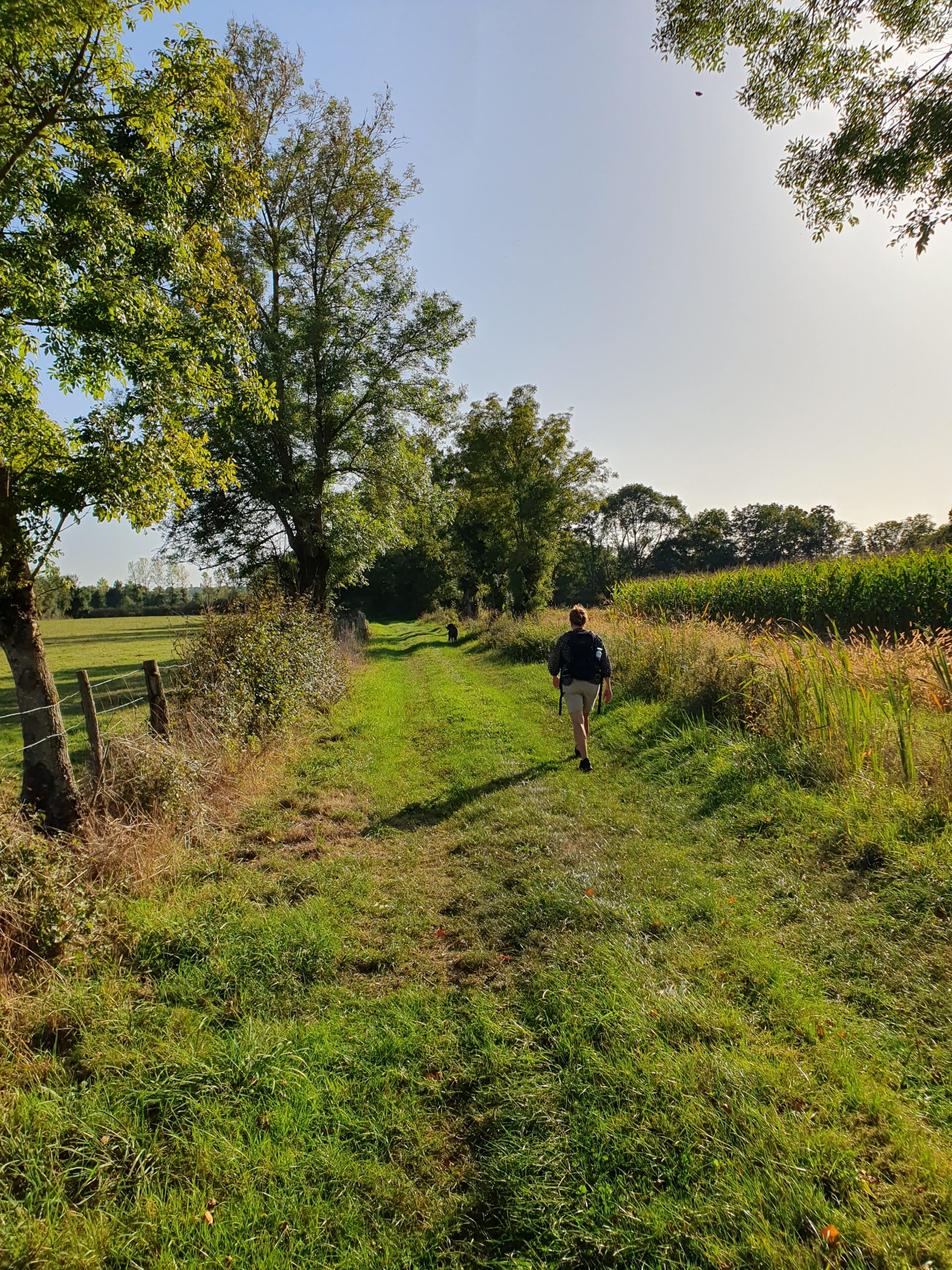 une belle randonnée en campagne en Bresse dans l'Ain